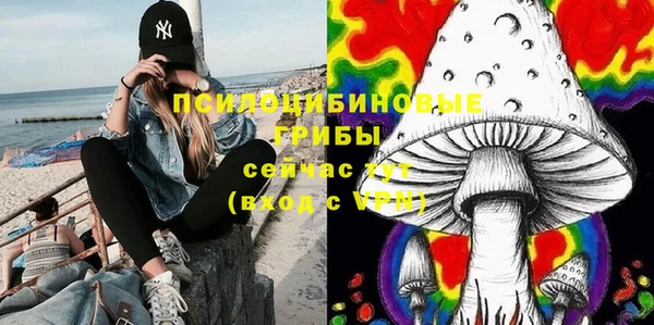 ГАЛЛЮЦИНОГЕННЫЕ ГРИБЫ Богородицк