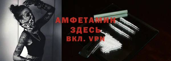 спайс Богданович
