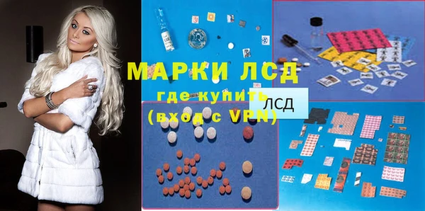 спайс Богданович