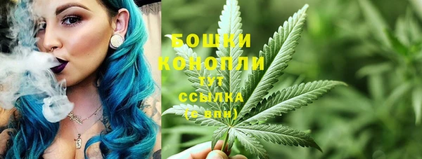 спайс Богданович