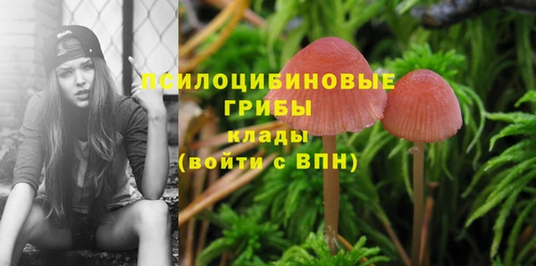ГАЛЛЮЦИНОГЕННЫЕ ГРИБЫ Богородицк