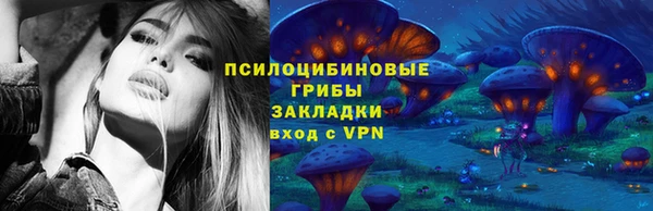 ГАЛЛЮЦИНОГЕННЫЕ ГРИБЫ Богородицк